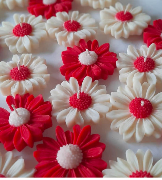 Personalized Daisy Flower Floating Candles Pack -12 ( Color Preference)